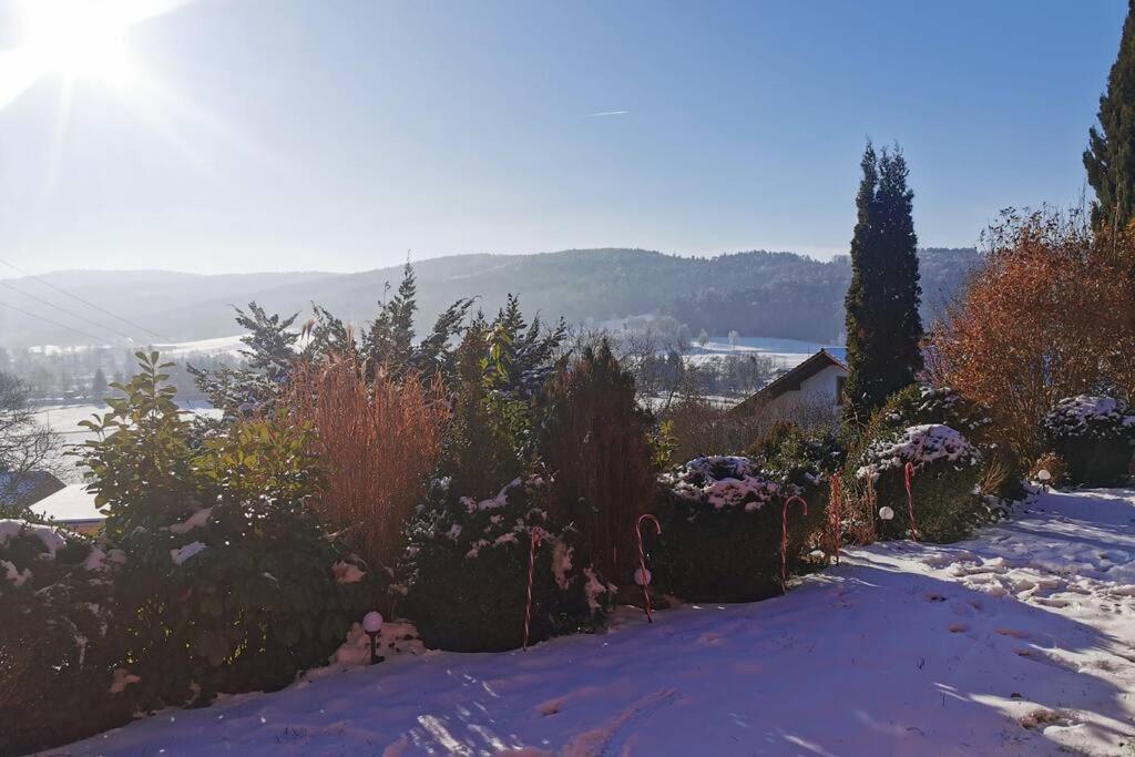 Chalet Bambi Blaibach Экстерьер фото